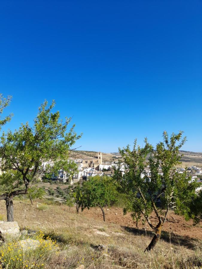 La Casita De Papel Alhama De Granada Βίλα Εξωτερικό φωτογραφία
